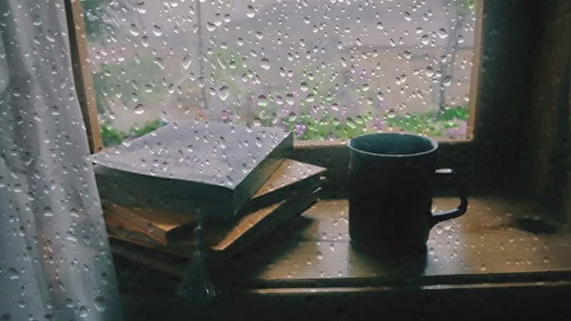 Ngày mưa ngồi đọc sách cùng một tách cacao nóng là một thú vui tao nhã