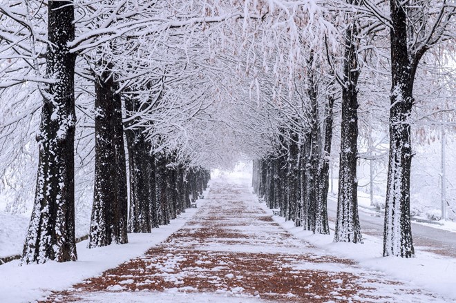 Bài thơ: Mùa đông xa nhau