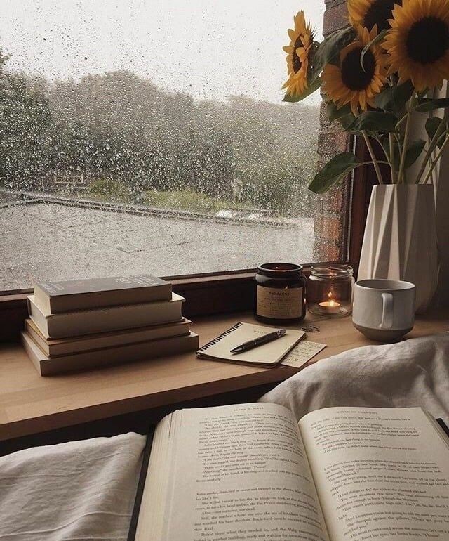 Viết sách ngày mưa